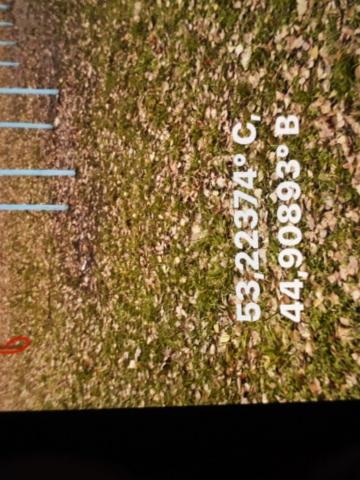 Олеся Горячая Массажистка фото 2